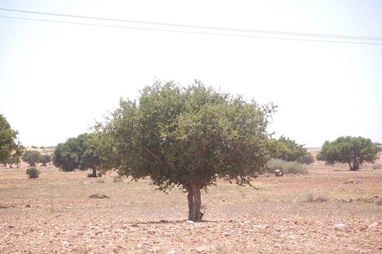 Tour image 6