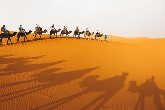 Tour image 8