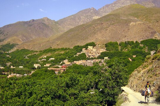 Tour image 6