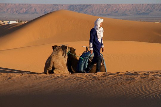 Tour image 8