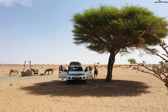 Tour image 14