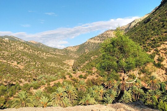 Tour image 11