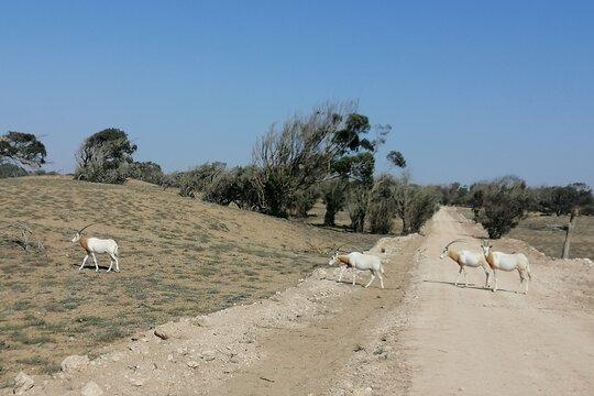 Tour image 3